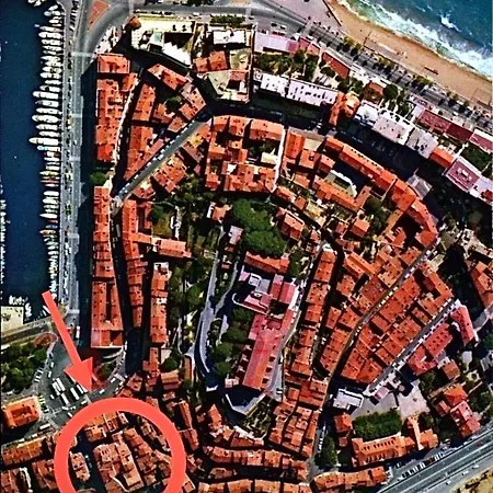 à 100m Du Palais Des Festivals / Plages Et Commerces Cannes