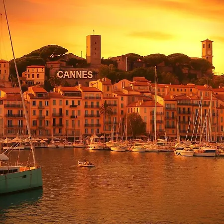 à 100m Du Palais Des Festivals / Plages Et Commerces *